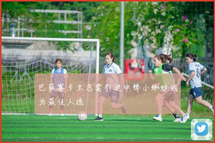 巴萨赛季末急需引进中锋小蜘蛛成为最佳人选