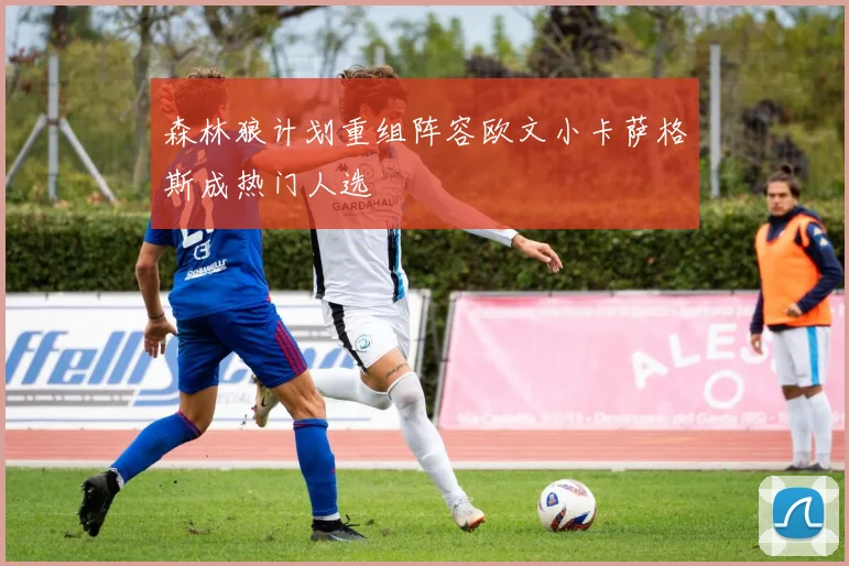 森林狼计划重组阵容欧文小卡萨格斯成热门人选