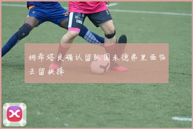姆希塔良确认留队国米德弗里面临去留抉择